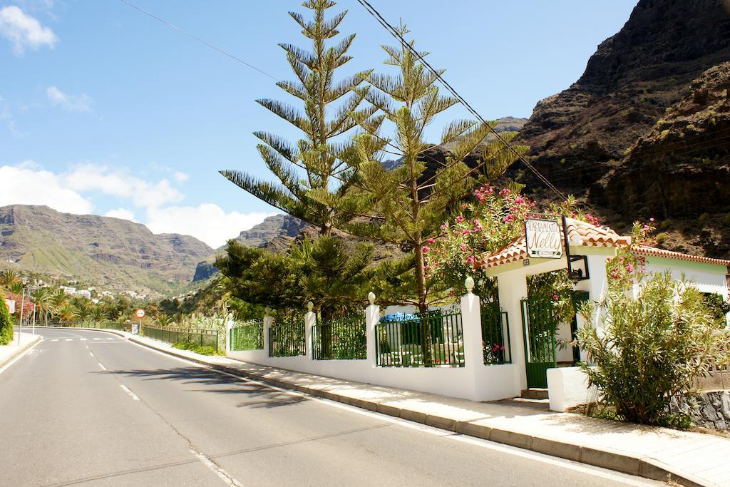 Apartamentos Nelly Valle Gran Rey Kültér fotó
