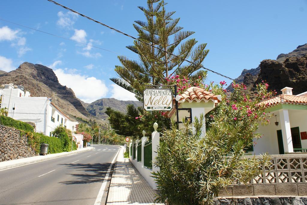 Apartamentos Nelly Valle Gran Rey Kültér fotó